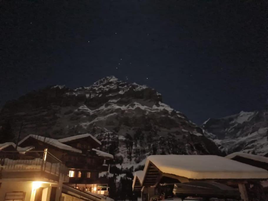 Chalet Engi Apt 1 For Up To 8 People Grindelwald Exterior photo