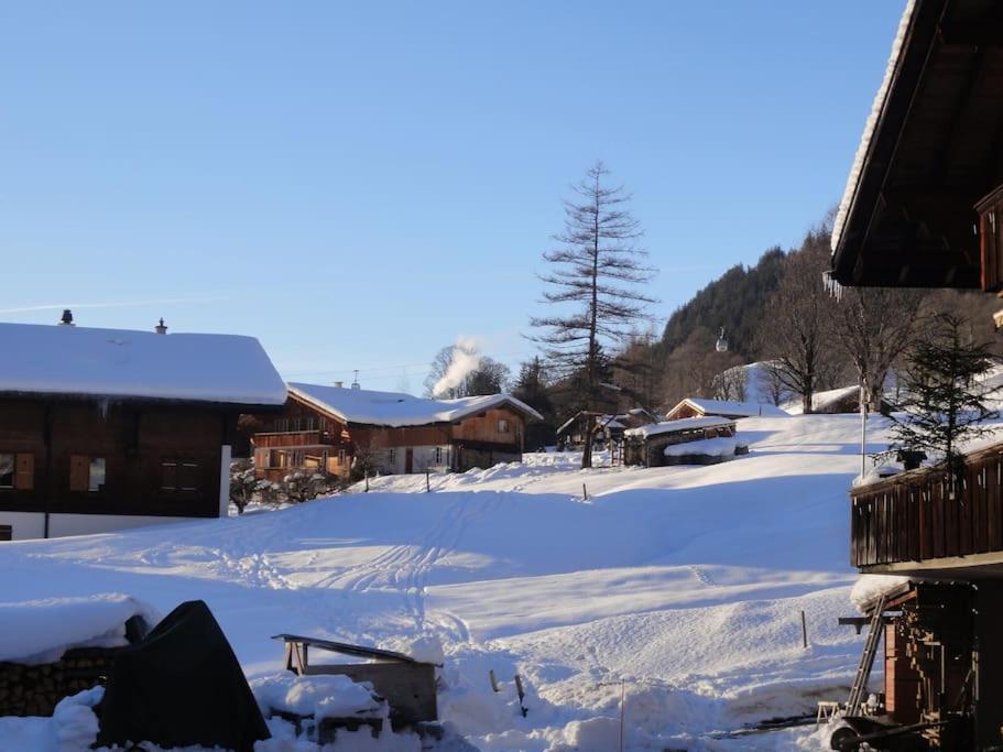 Chalet Engi Apt 1 For Up To 8 People Grindelwald Exterior photo